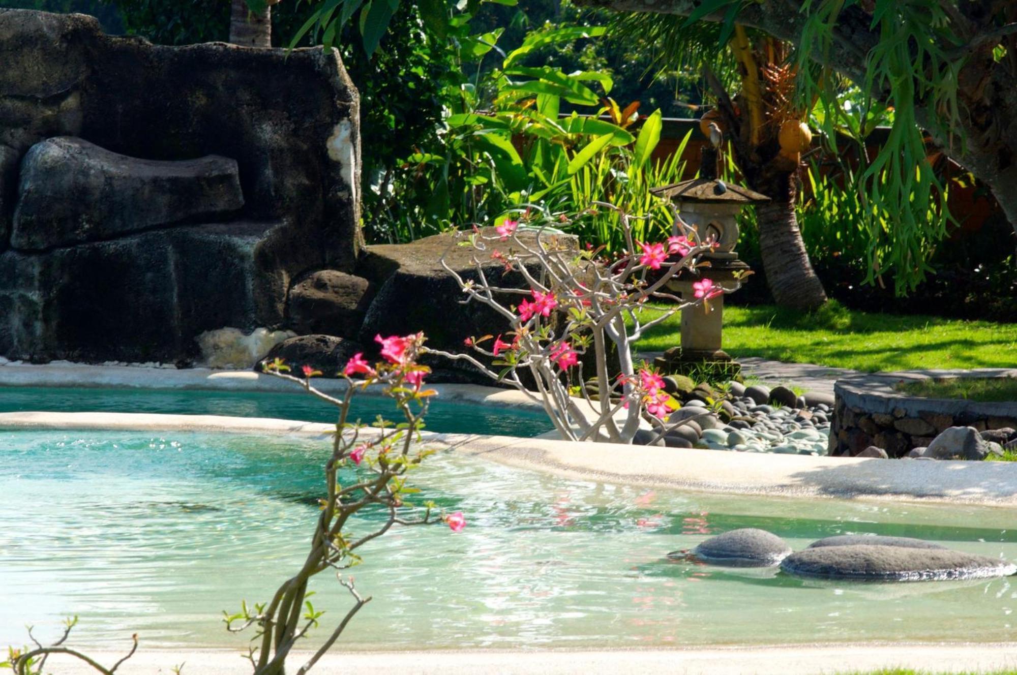 Villa Bali Pondok Jepang Lovina Екстериор снимка